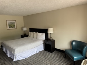 1 King Bed Handicap Nonsmoking Photo 1